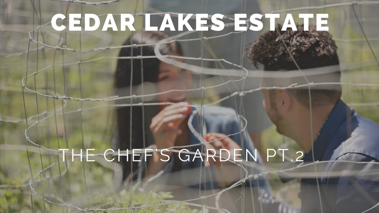 WEDDING VENUE IDEAS: THE CHEF'S GARDEN AT CEDAR LAKES ESTATE PT. 2