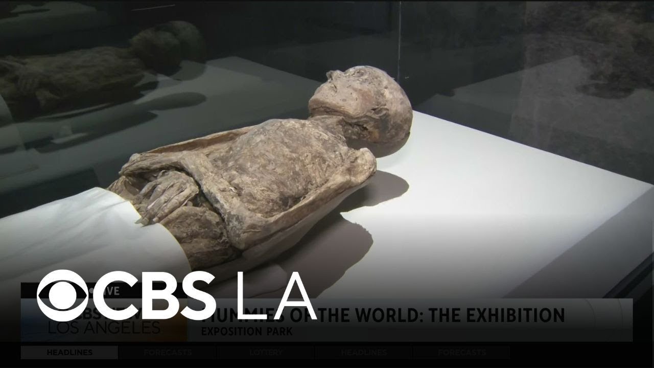 A preview of Mummies of the World: The Exhibition in Los Angeles