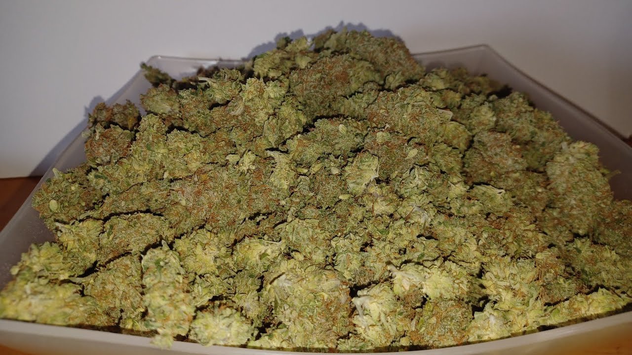 Mega Power Plant Autoflower half lb   Spliff Seeds final weight medical cannabis Viparspectra P4000