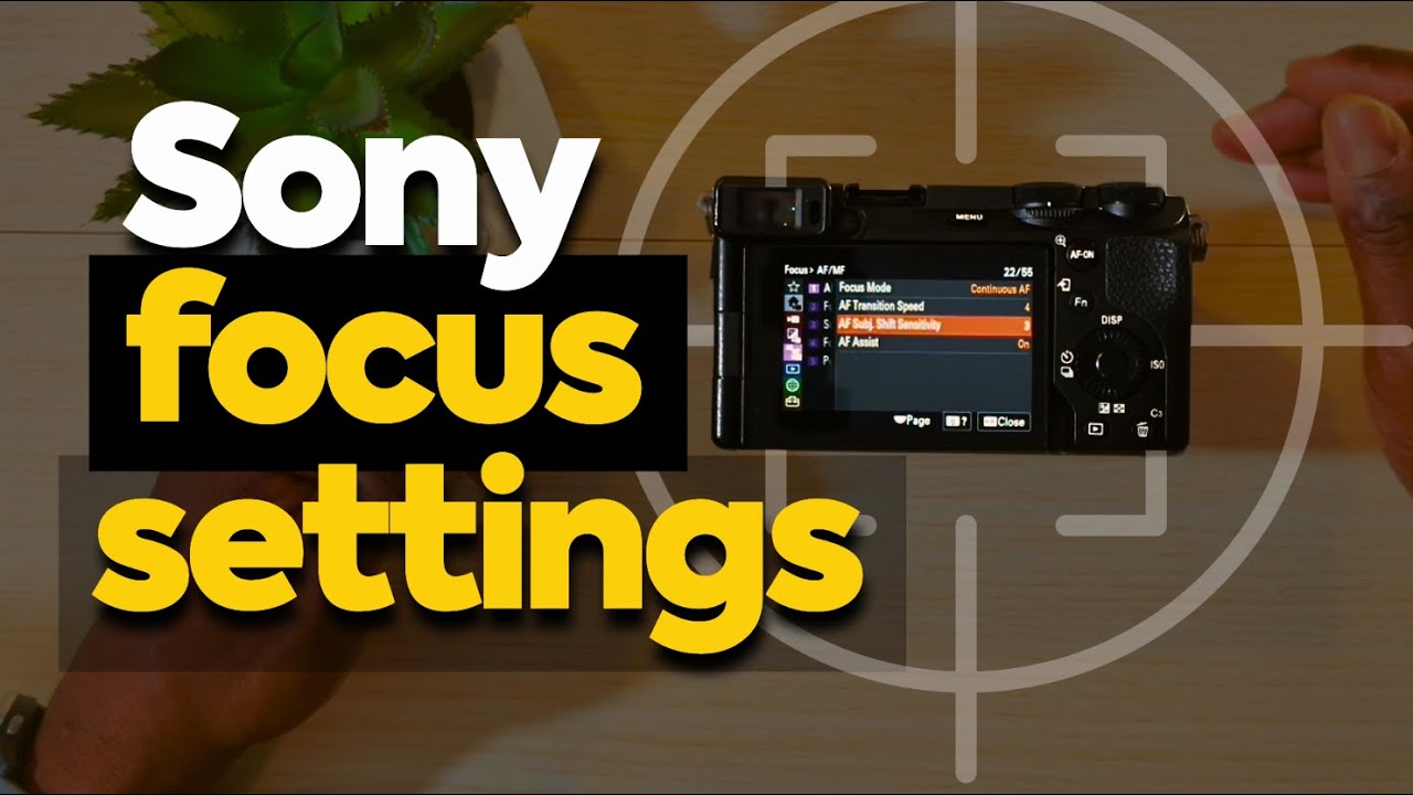 Sony A6700: Best Settings To Get Sharp Focus Every Time