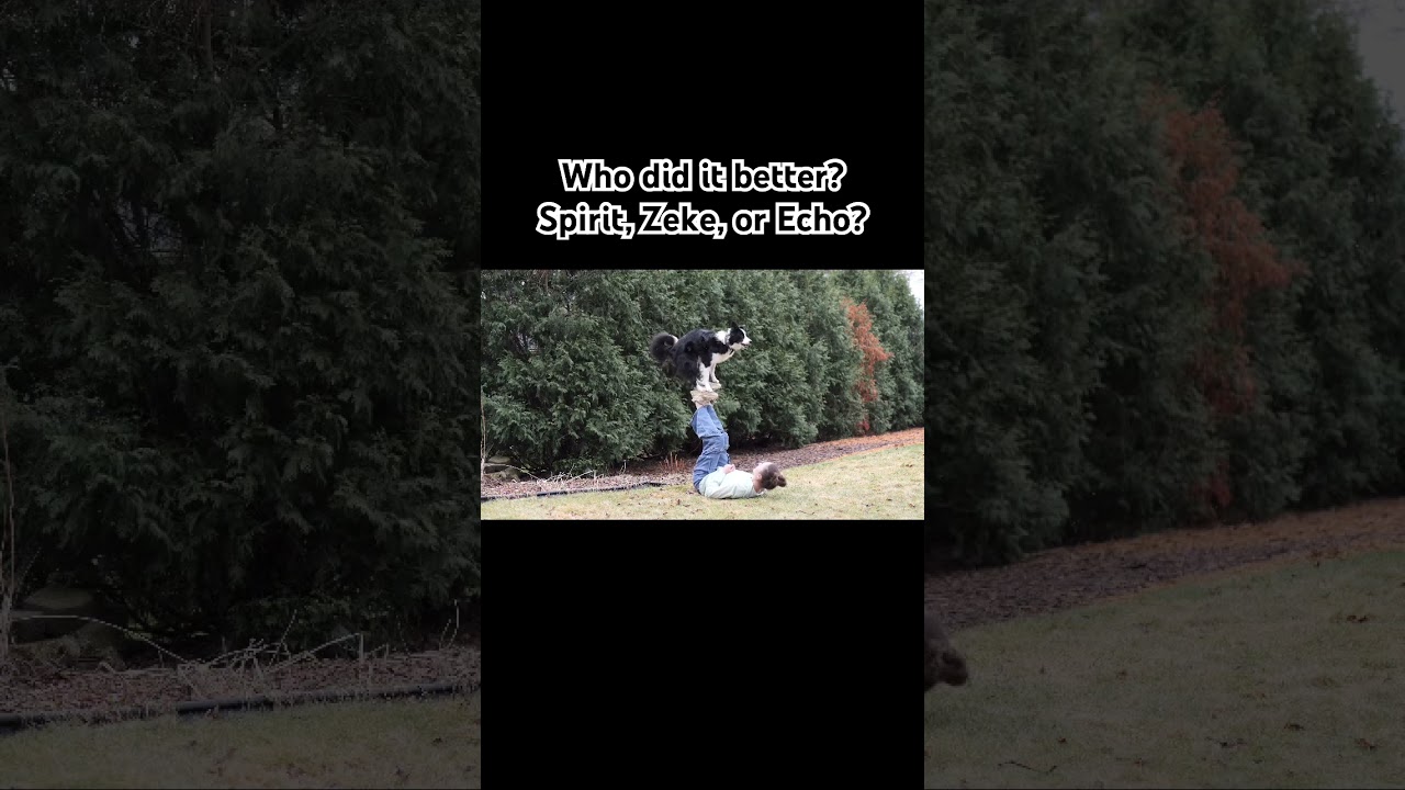 Who did it better?  