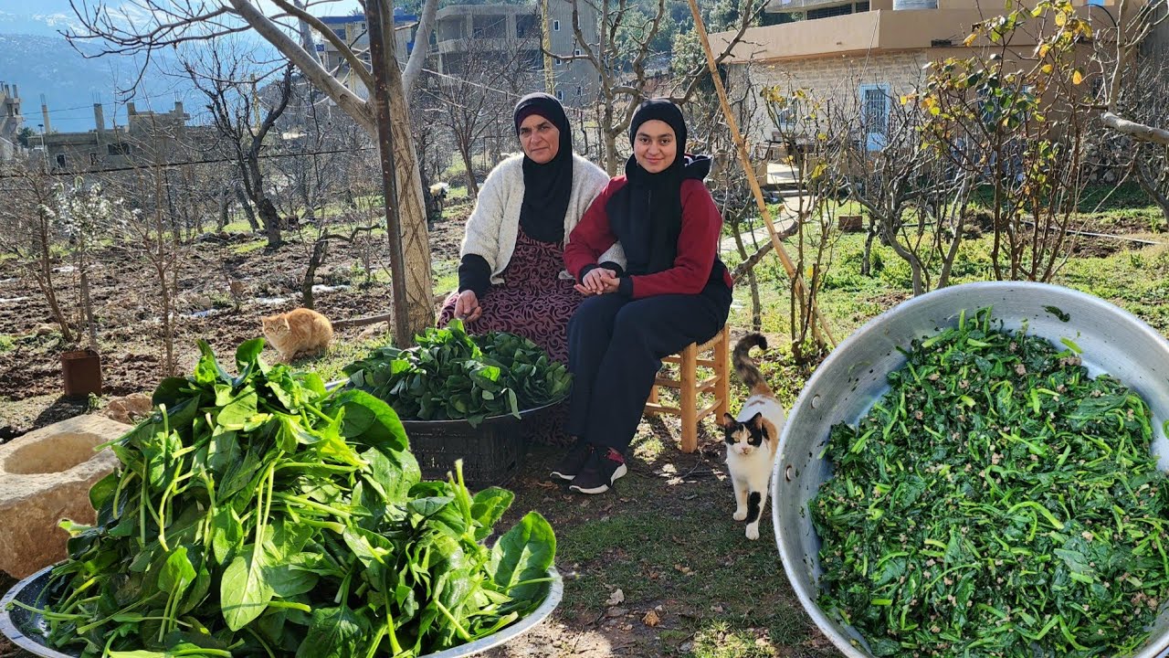 سبانخ باللحمة عالحطب🔥أجواء شتوية باردة🇱🇧❤️توضيح للمتابعين❤️