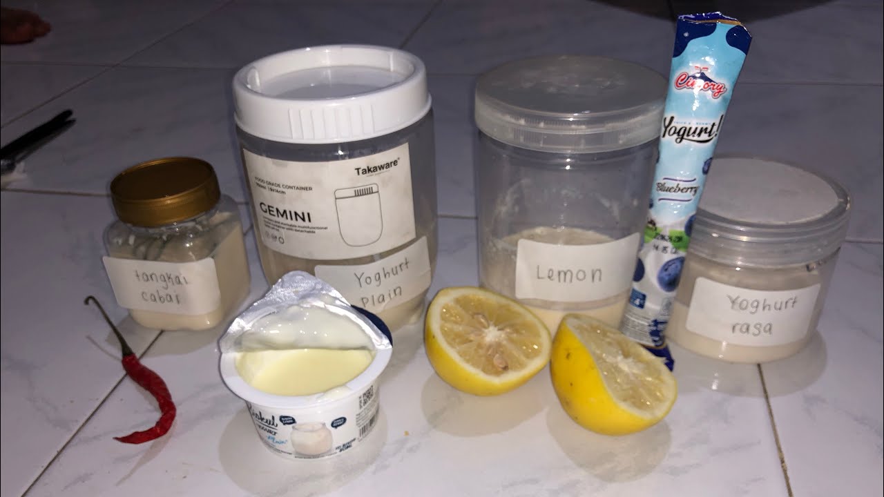 Bioteknologi Yoghurt-Kelompok 8| Bio'1