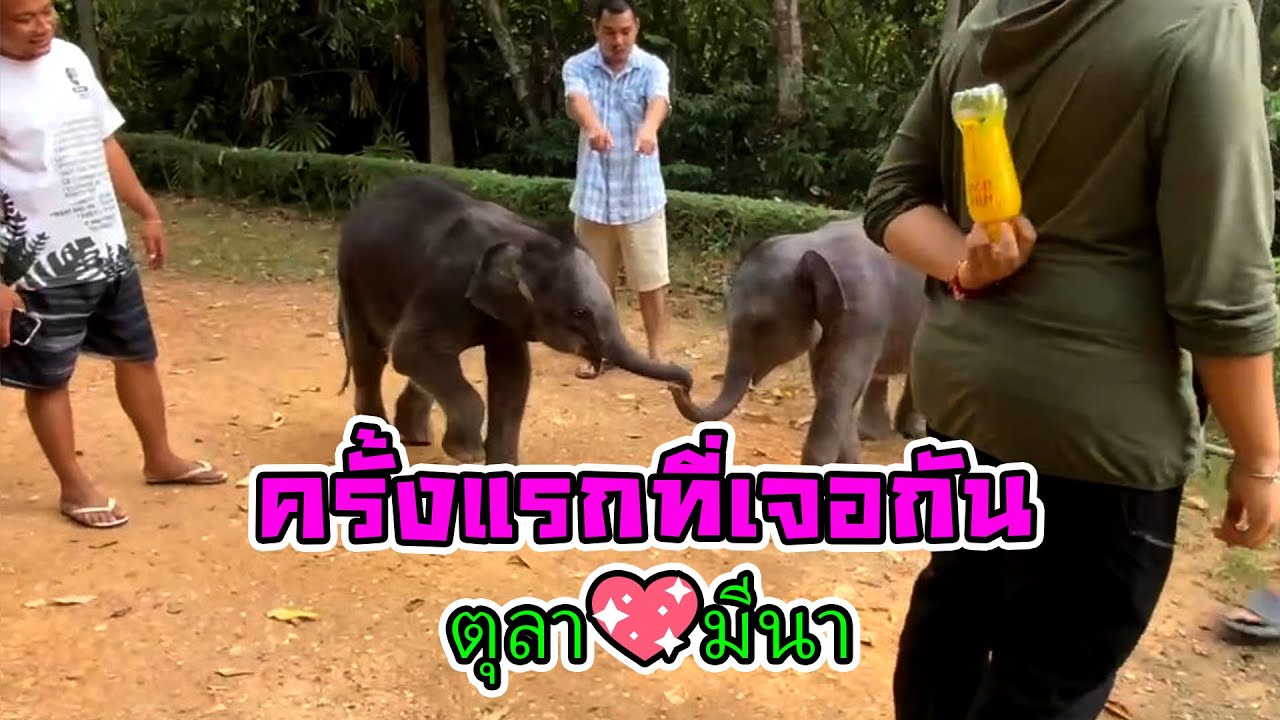 คลิปที่ทุกคนรอคอยมาแล้วครับ ครั้งแรกที่เจอกัน ตุลา💗มีนา