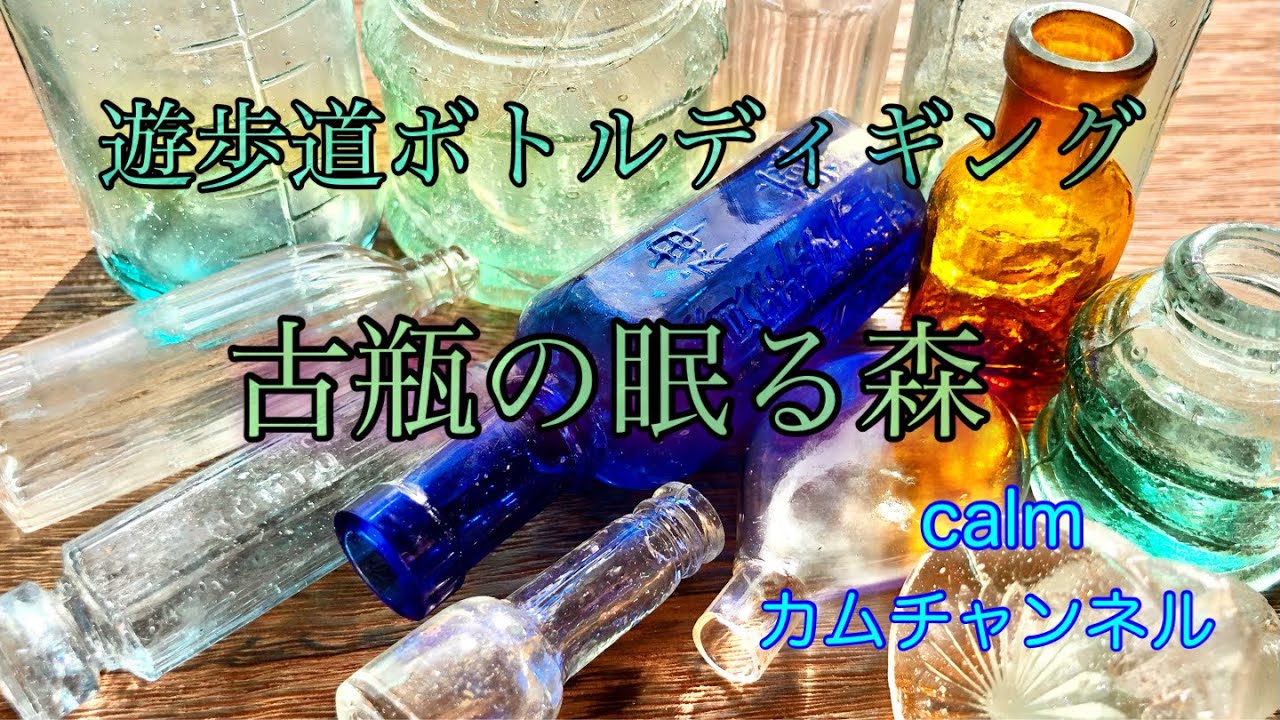 遊歩道ボトルディギング 古瓶の眠る森