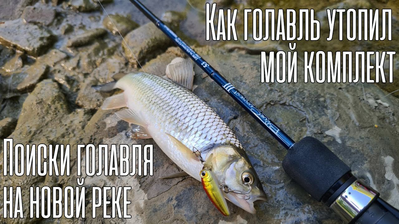 УТОПИЛ Yamaga Blanks! Поиски голавля на новой реке
