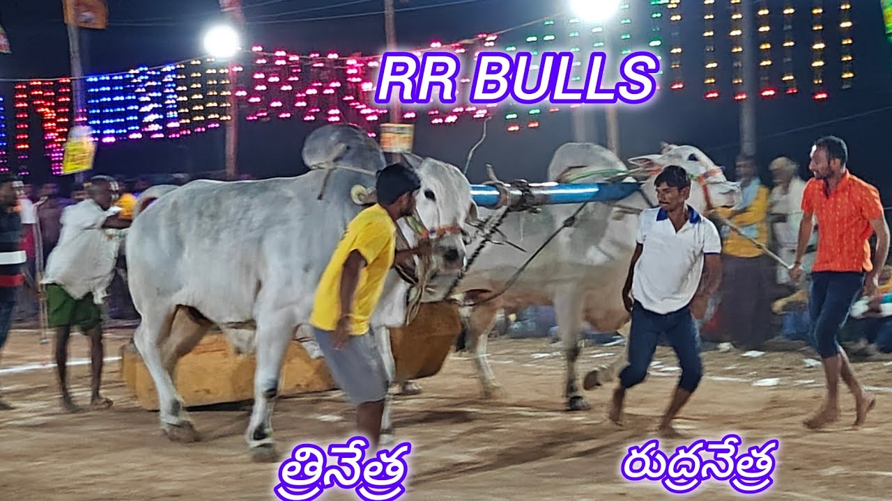 మాచవరం సబ్ జూనియర్స్ 8వ RR BULLS ( త్రినేత్ర💥 రుద్రనేత్ర) మేడ్చల్ మల్కాజ్గిరి జిల్లా...