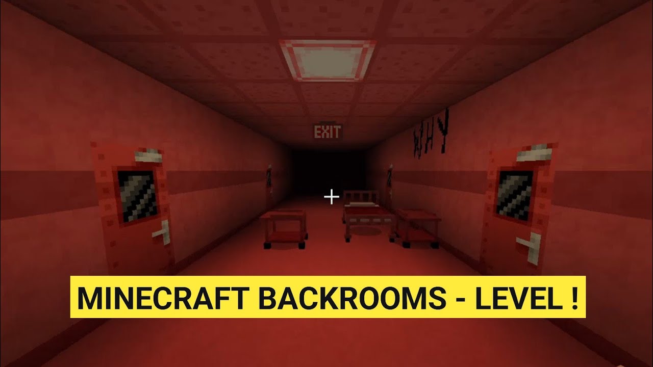 Level Run For Your Life! | Minecraft Backrooms