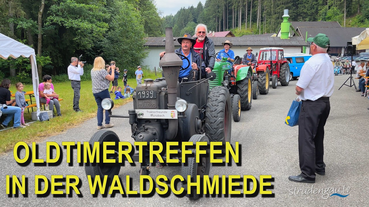 Oldtimer Traktoren | Oldtimertreffen 2024 | Waldschmiede | Bad Kreuzen