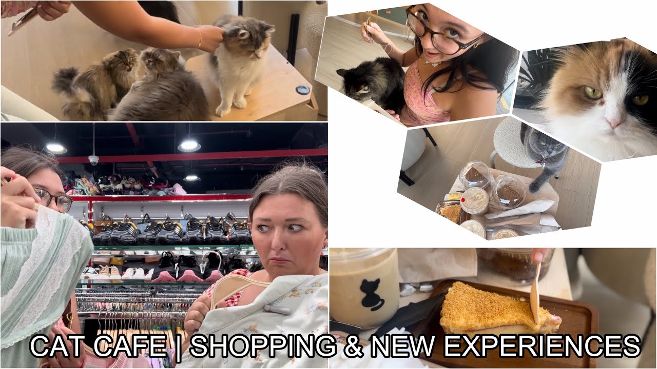 CAT CAFE | SHOPPING & NEW EXPERIENCES!