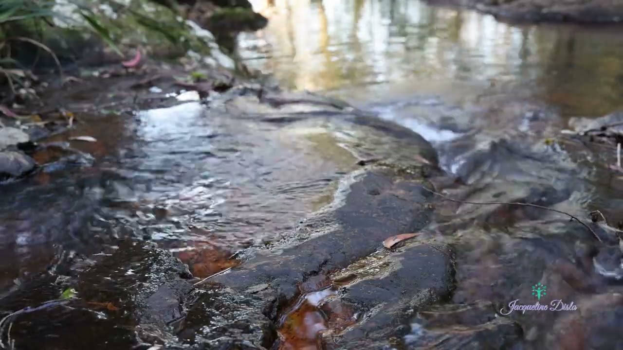 Febrero 27, 2026 - La impaciencia