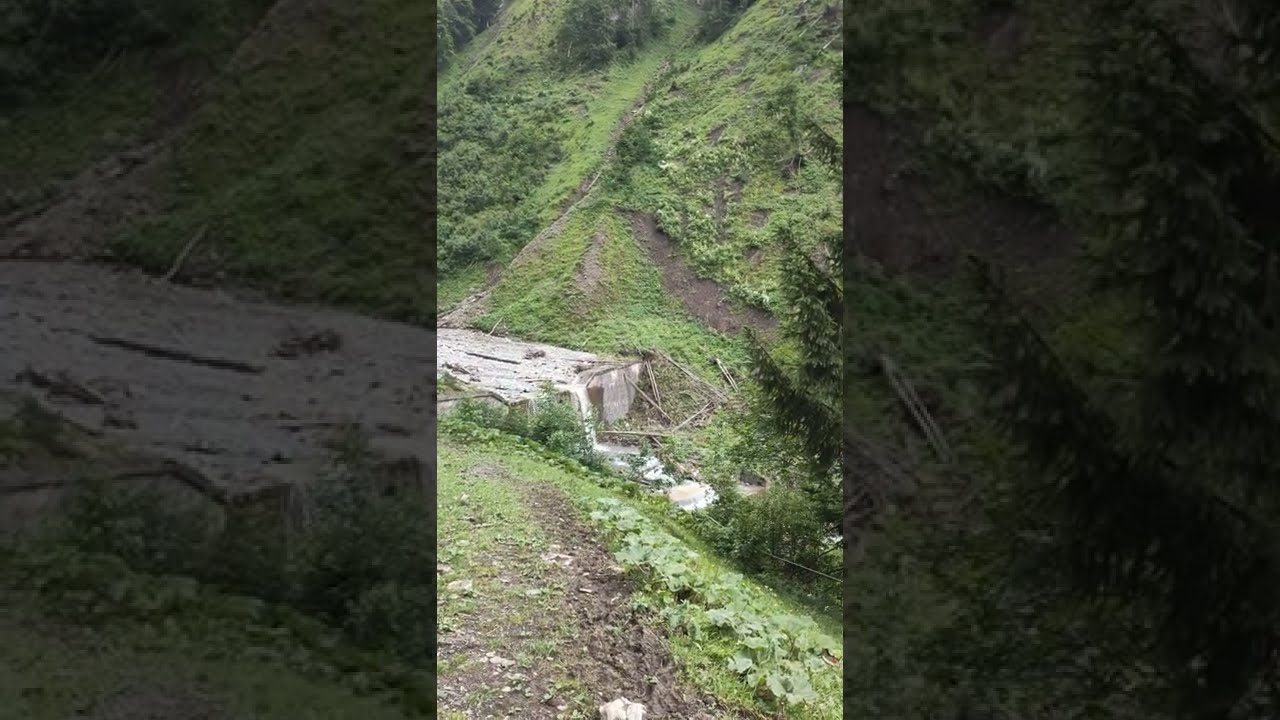 Der Bacherlochbach bei Ein&ouml;dsbach