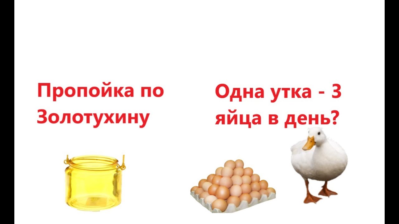 Пропойка по методу Золотухина, давление в яйце, плохие выводы в инкубаторе.