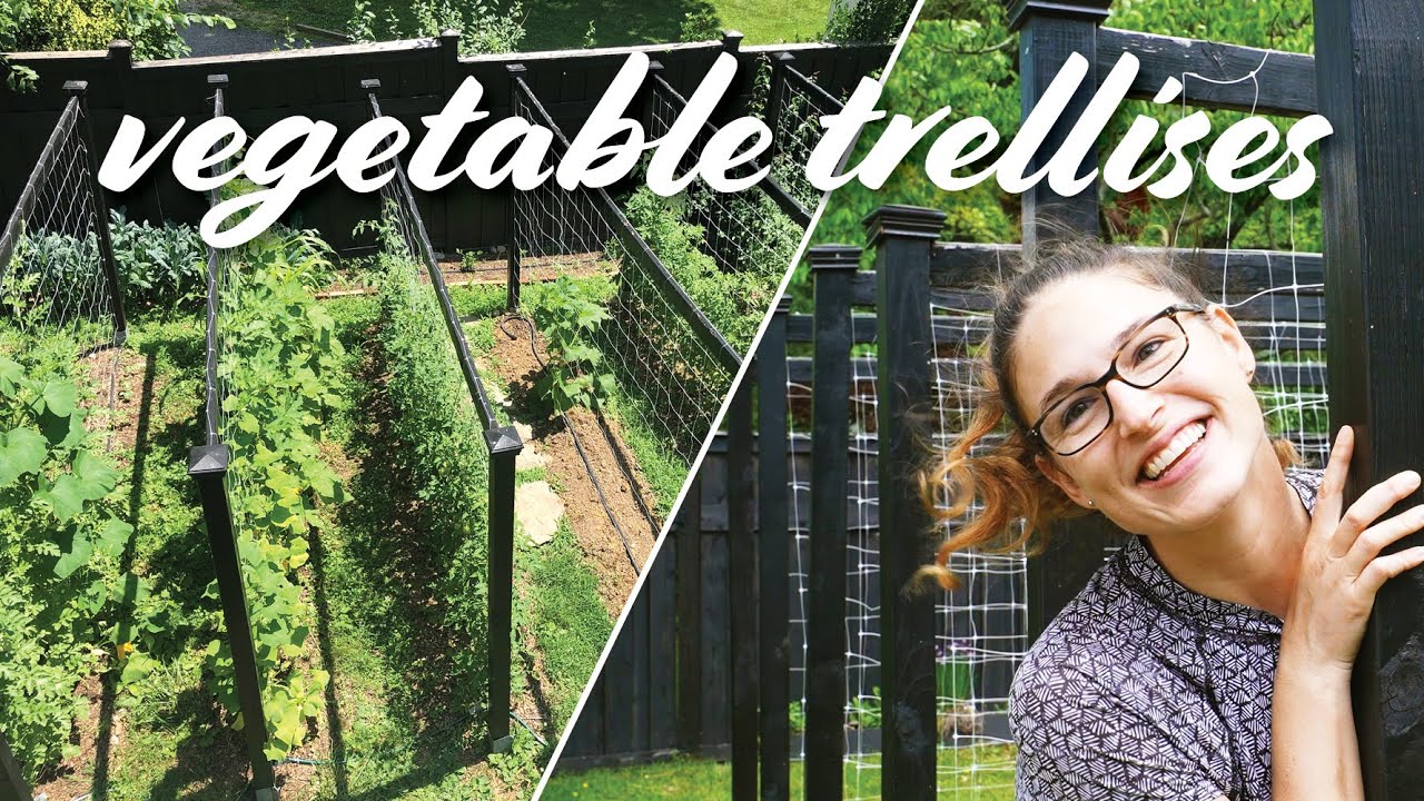My Garden Trellis for Vegetables | DIY Design for Cucumbers, Tomatoes & Beans