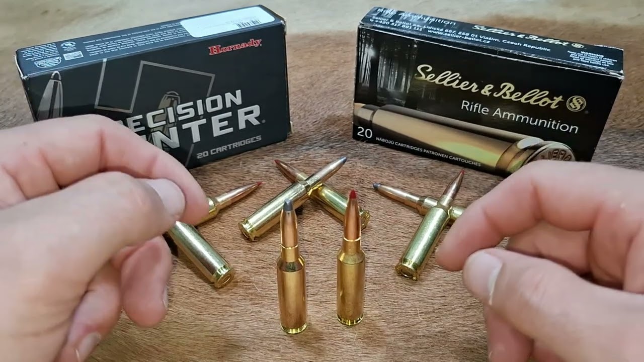 Soft Point vs Hornady ELD X  What Should You Use for Hunting