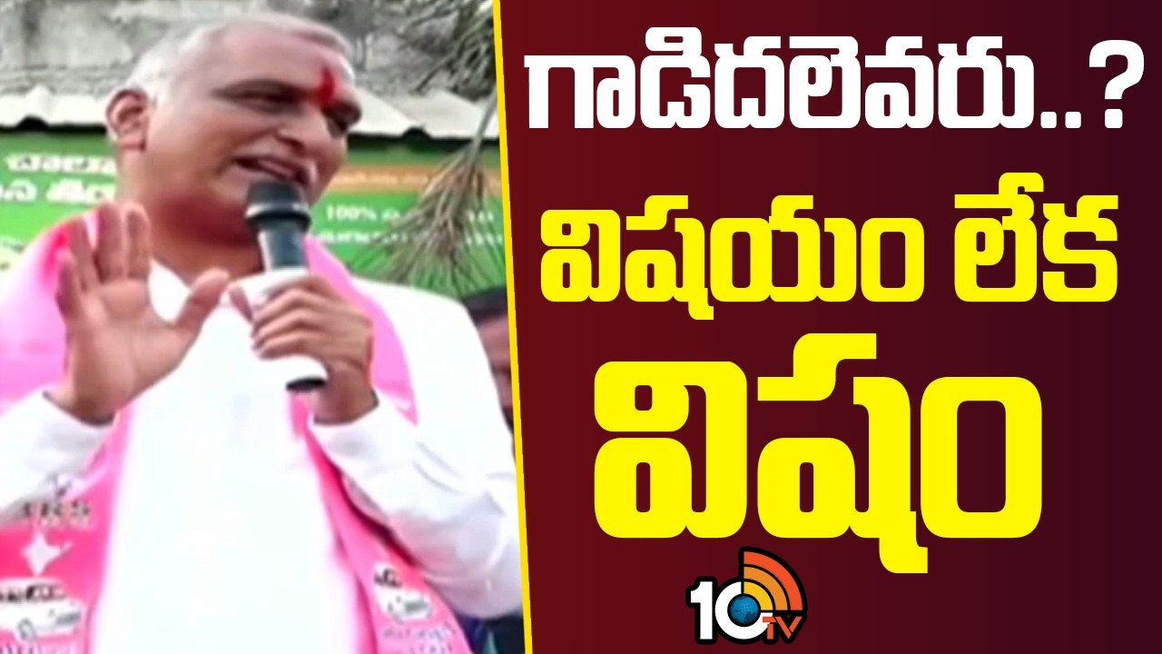 గాడిదలెవరు..? విషయం లేక విషం | Harish Rao Counter To Revanth Reddy Comments | Medak | 10TV News