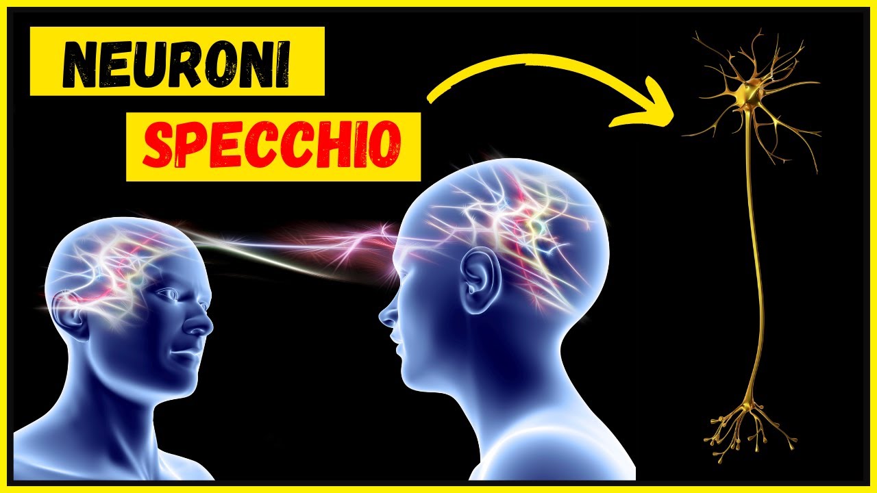 Neuroni specchio ed empatia: cosa sono? Come sono stati scoperti? A cosa servono?