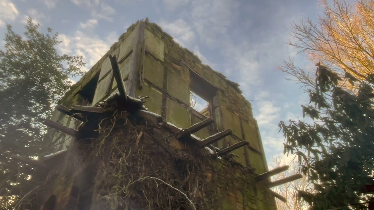 Obelisk Grove - Knotty Pine