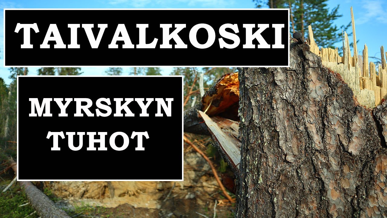 TAIVALKOSKI MYRSKYN JÄLKEEN | PAULA-MYRSKY