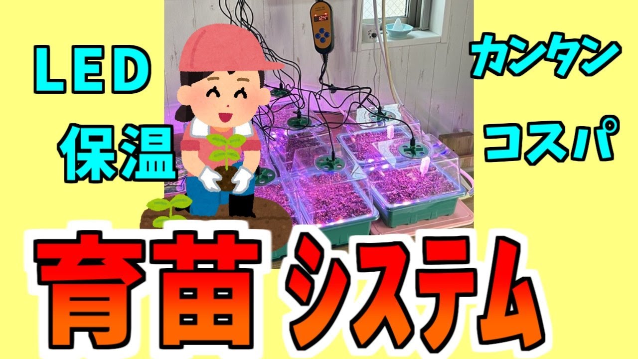 ヒーターマットとLEDで夏野菜の育苗システムを作ろう！＃トマト ＃LED ＃保温育苗 ＃夏野菜