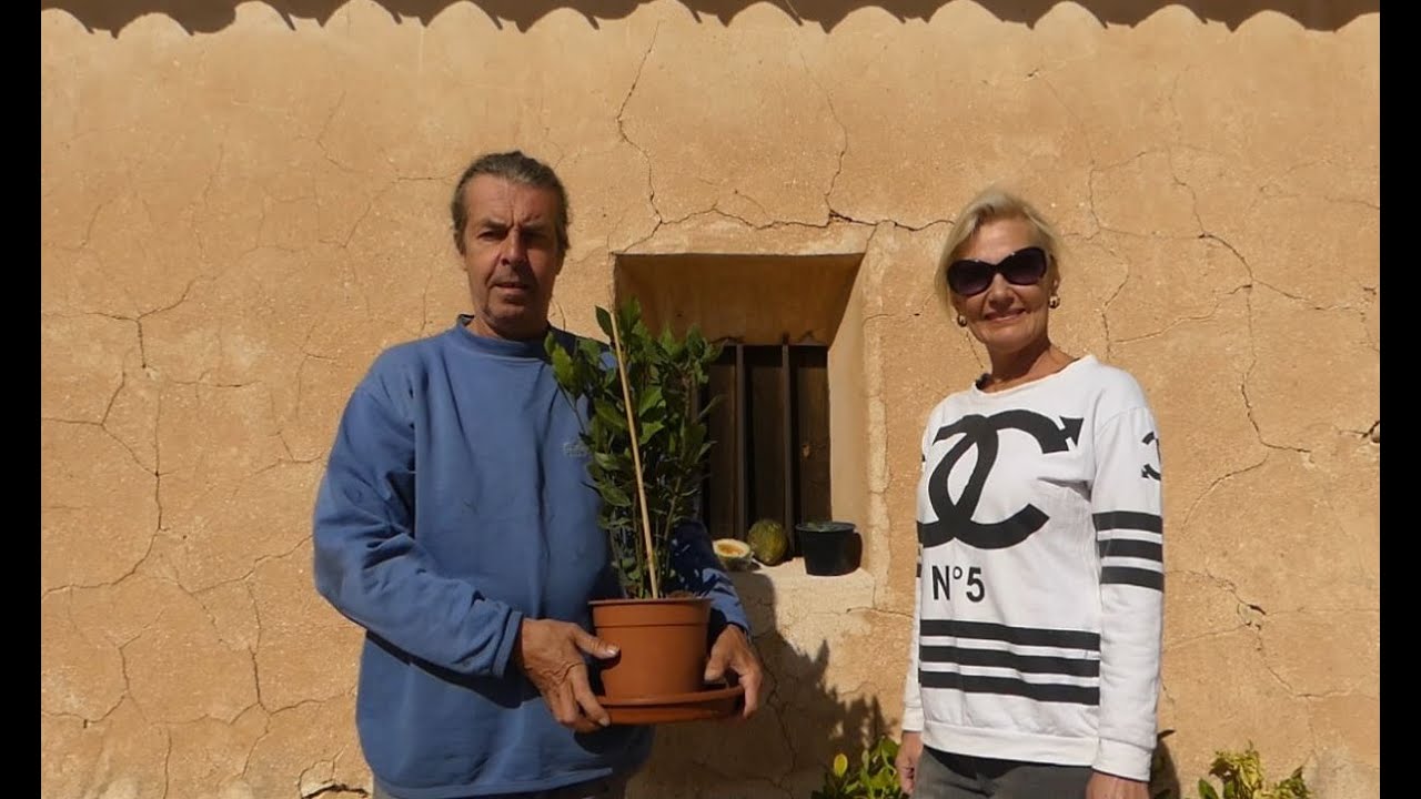 On with the kitchen and the hay challenge... Restoration Finca Spain