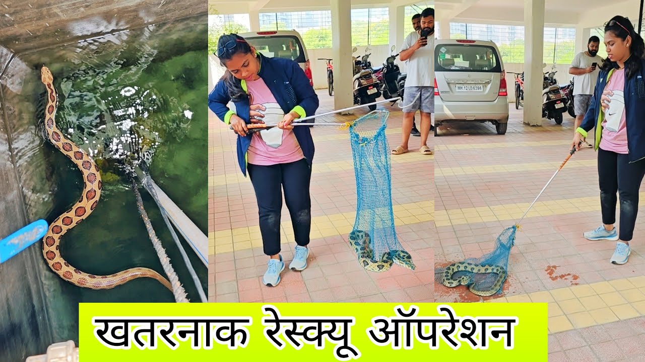 😱😱बापरे एवढ्या मोठ्या सापाला पाहून ताईंना अजगर वाटला🐍😱