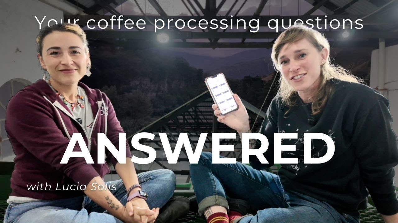 Coffee processing questions (rapid fire) with Lucia Solis