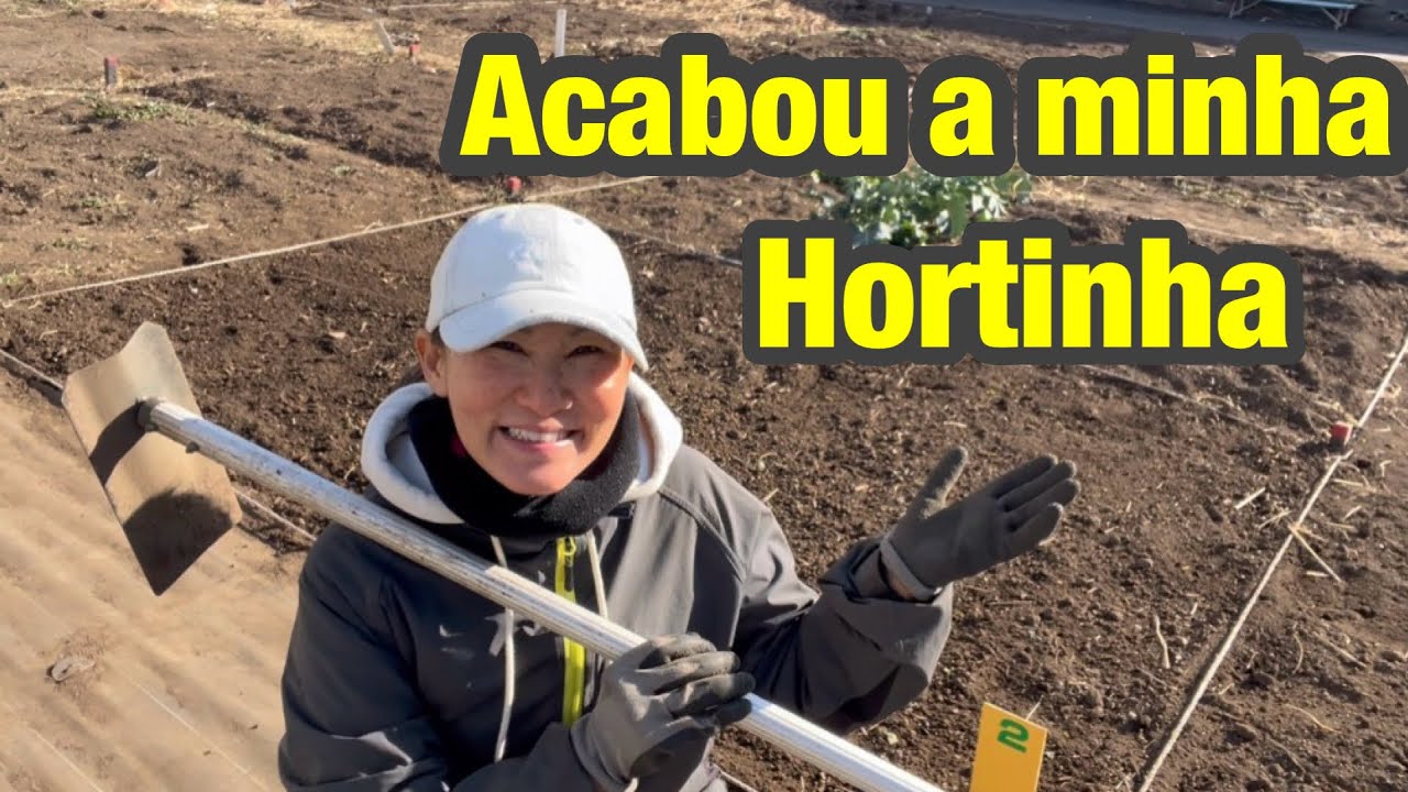 DESFAZENDO A MINHA HORTINHA @hortadajaponeuza123 