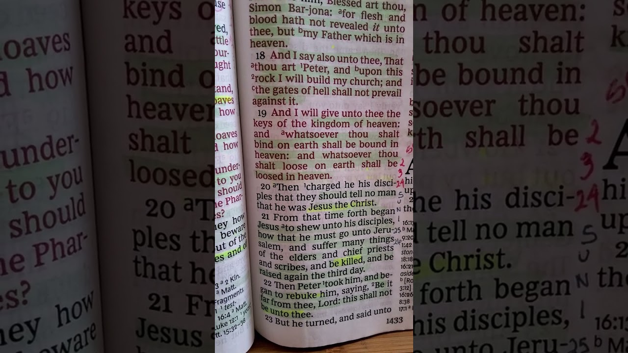 SMRF Sat & Sun 25th & 26th Jan 2026 📖 Matthew 15:15-39 & 16,17 & 18 Donations 👀 below!
