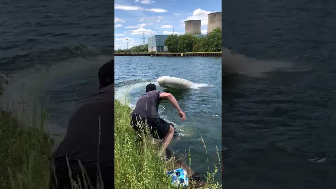 Dummer f&auml;hrt Boot