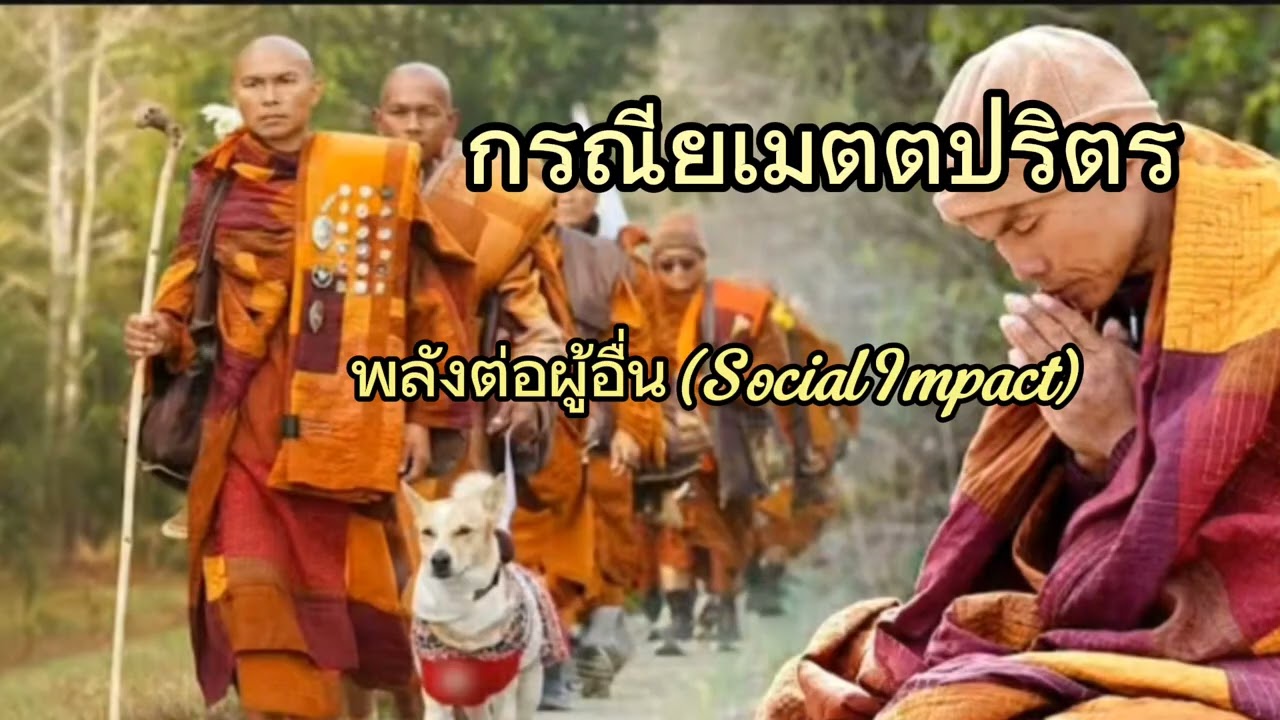 คนที่มีเมตตาจะเข้าสมาธิได้เร็ว#เมตตา#สวดมนต์#buddha#meditation #สมาธิ#พระพุทธเจ้า#เดินจงกรม#พลังบวก 