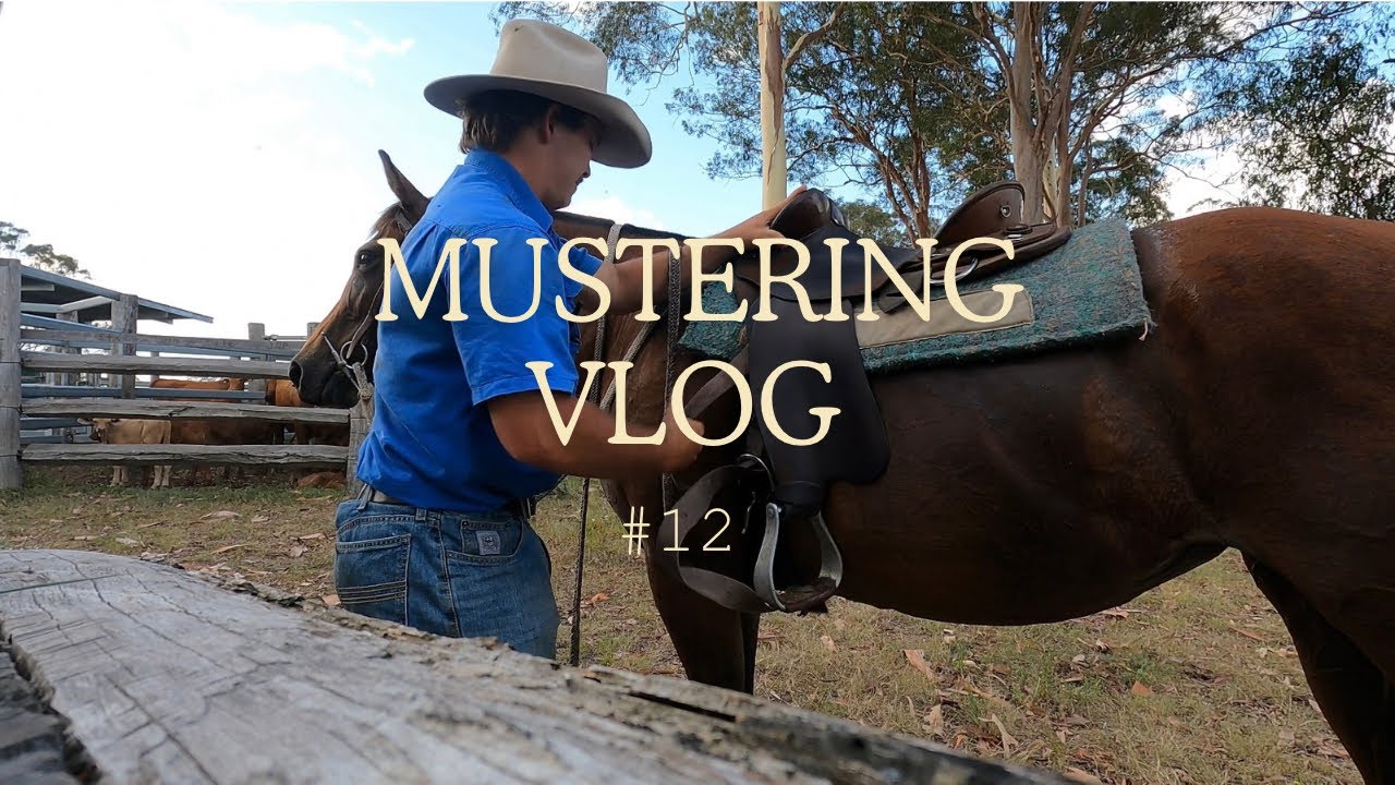 Mustering in Mount Perry