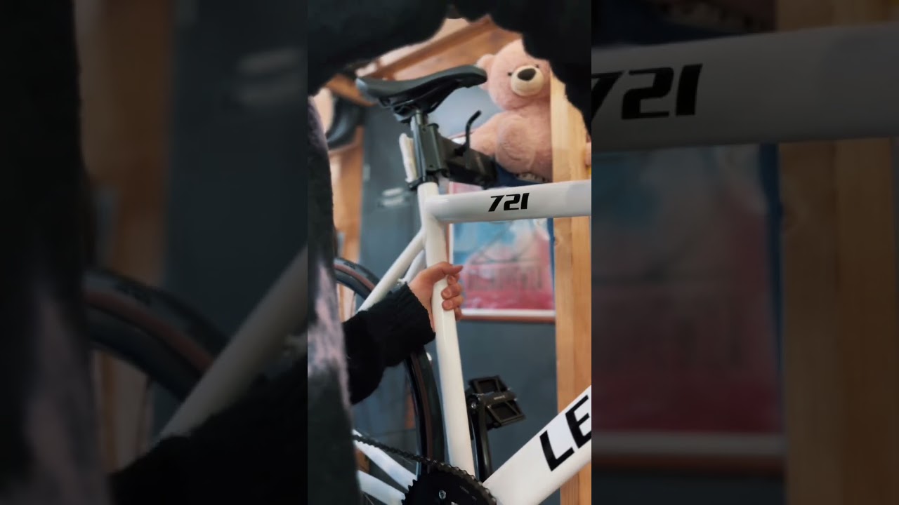 LEADER 721 custom bike