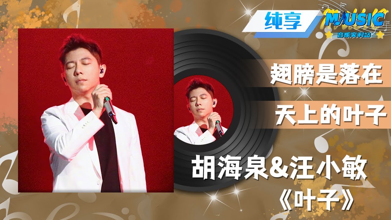 #胡海泉 #汪小敏 《叶子》 沙哑的嗓音瞬间把孤独包裹 |流行音乐 #天赐的声音 #音乐安利站【live】