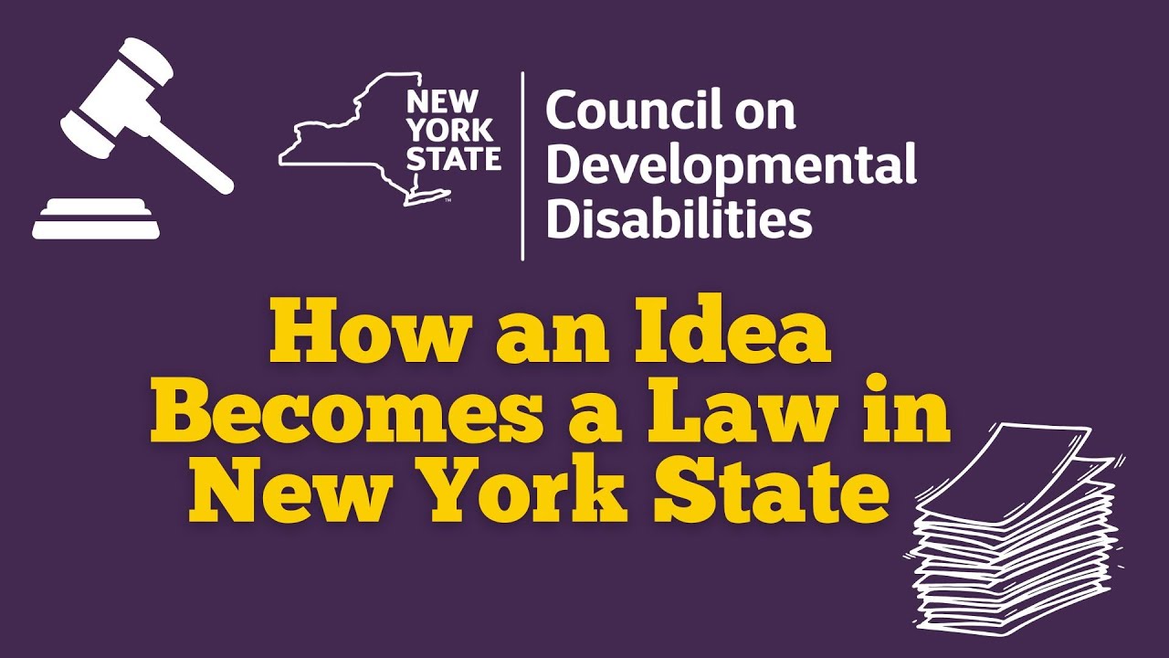 How an Idea Becomes a Law in New York State