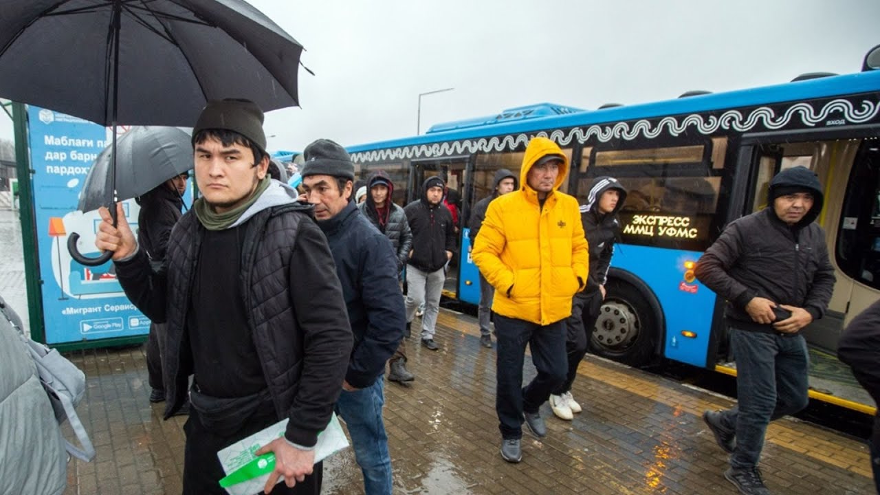 ташкент уфа автобус 2026 ТАШКЕНТ КАЗАНЬ АВТОБУС 2026