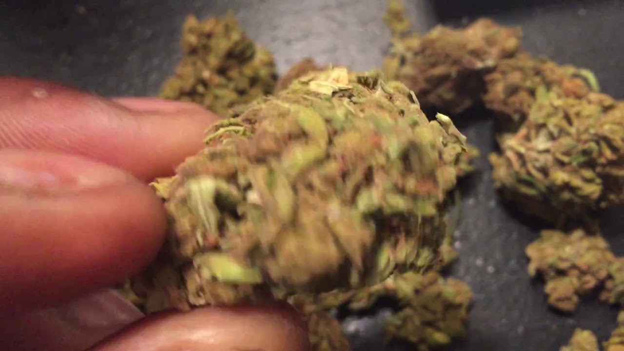 Review Of Cherry Wine Strain From CBDHEMP DIRECT