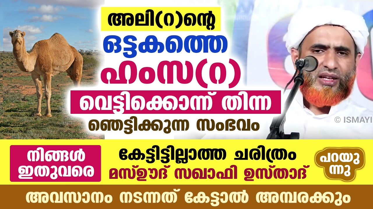 😮😰 നിങ്ങൾ ഇതുവരെ കേട്ടിട്ടില്ലാത്ത ചരിത്രം... അലി(റ)ന്റെ ഒട്ടകത്തെ ഹംസ(റ) വെട്ടിക്കൊന്ന് തിന്ന സംഭവം