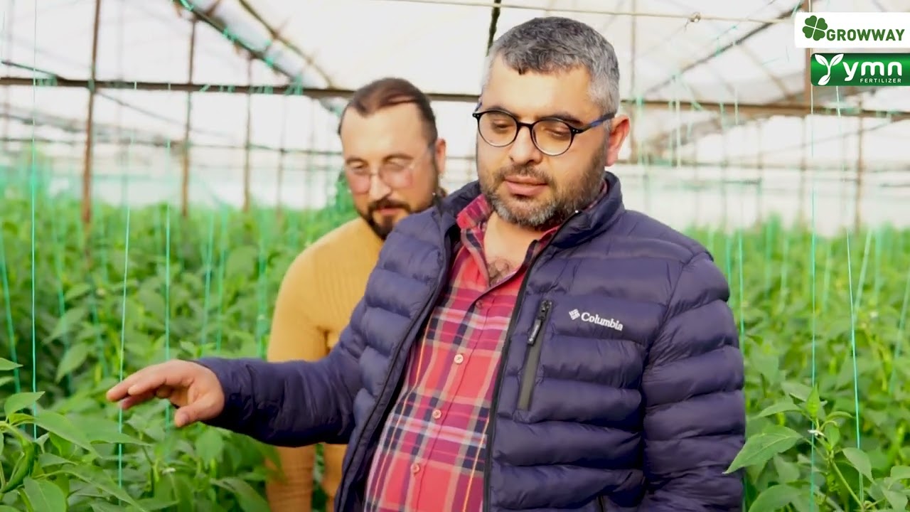 Bitki Besleme &Uuml;r&uuml;nleri &Uuml;reten Growway Firmasının &Uuml;r&uuml;n tanıtım Videosu.