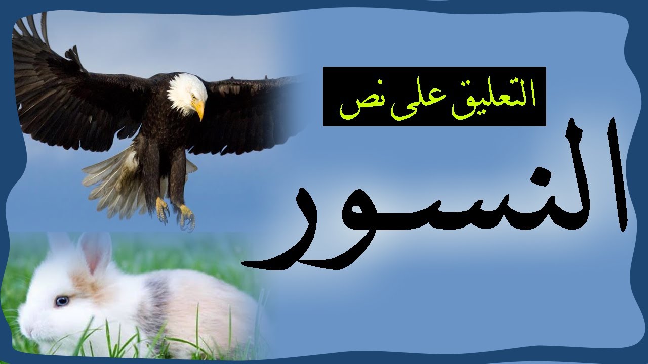 التعليق على نص النسور للثانوية العامة 2020
