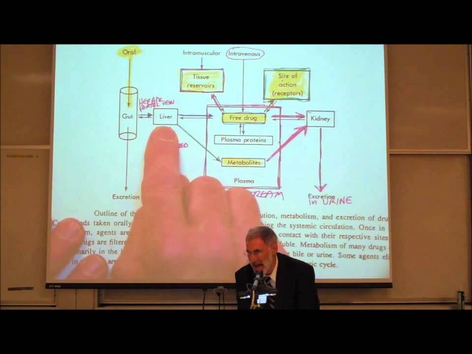 PHARMACOKINETICS; Absorption & Distribution by Professor Fink