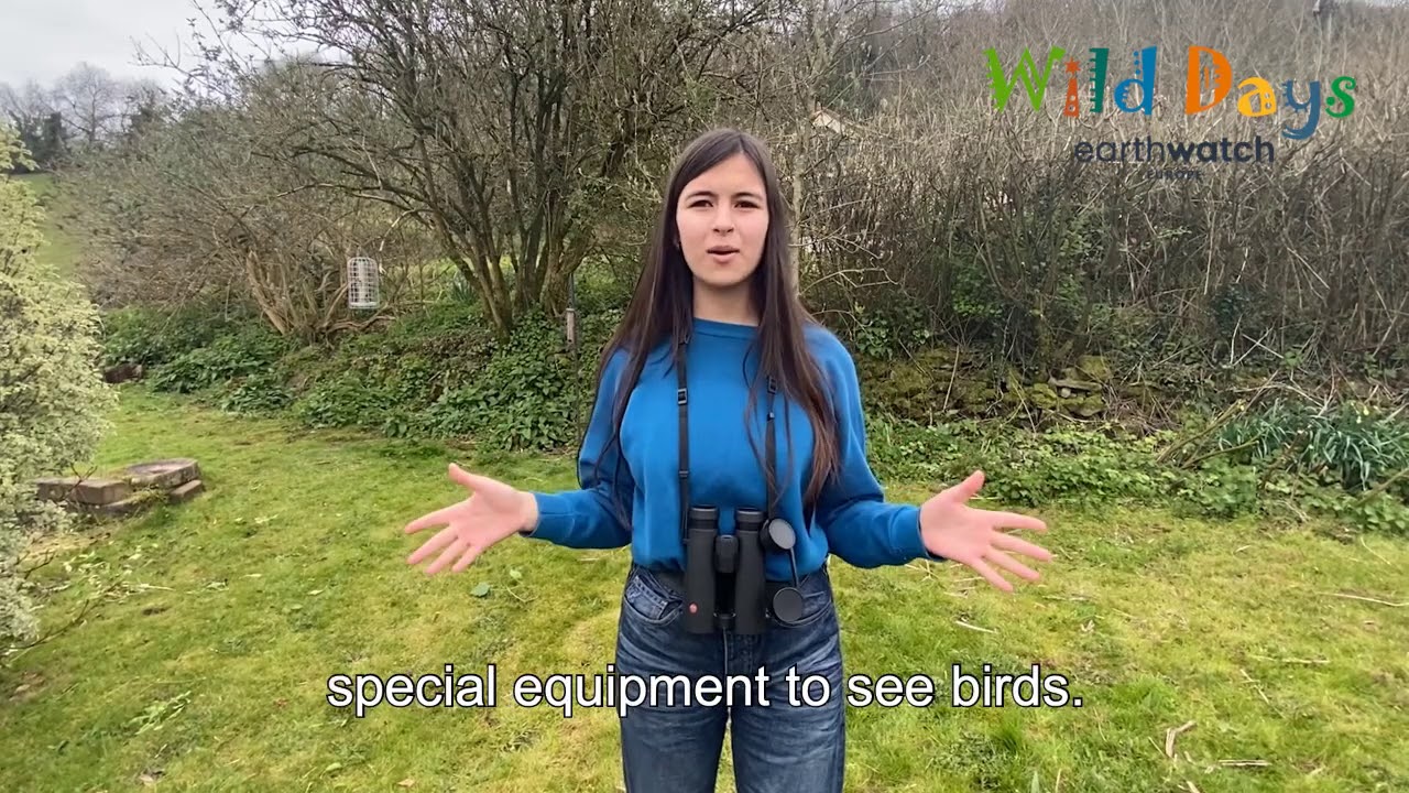 Wild Weekends: Birds