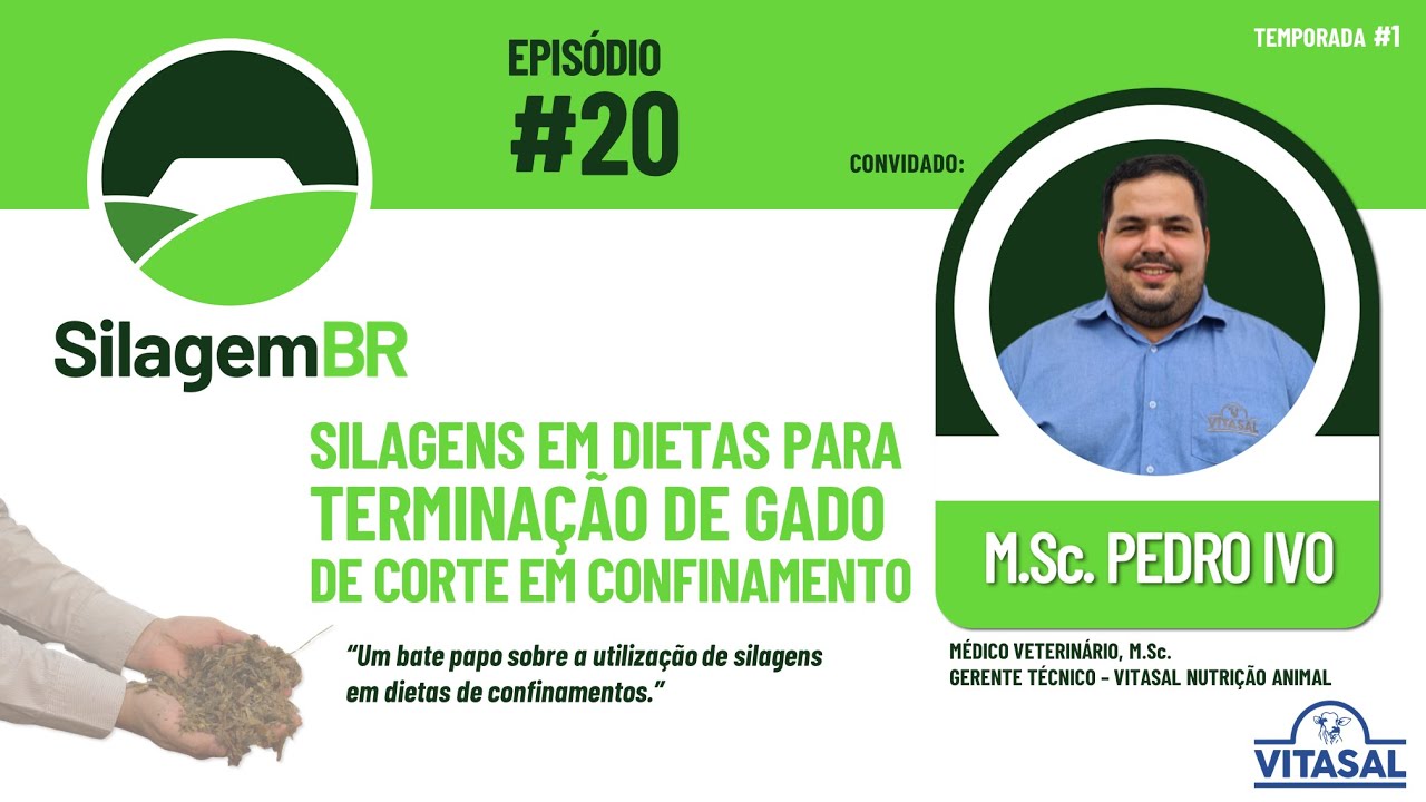 Ep#20 – Silagens em dietas terminação de bovinos de corte em confinamento