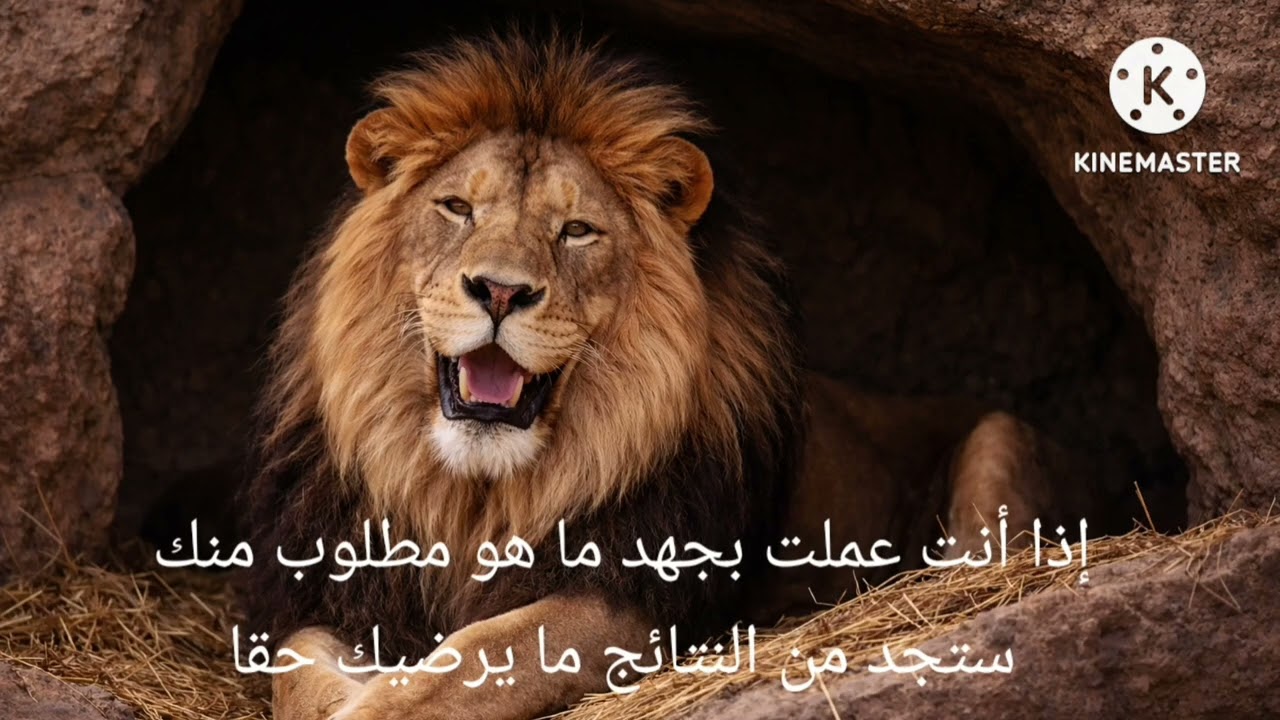 على لسان الحيوان 17 : صحوة ملك 