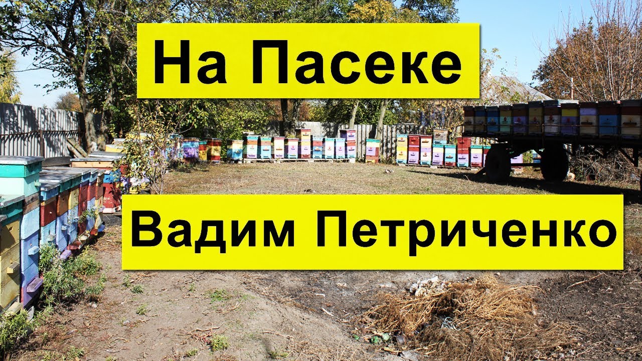 На Пасеке больше 200 семей Карника✅ Вадим Петриченко Хорольский р-н