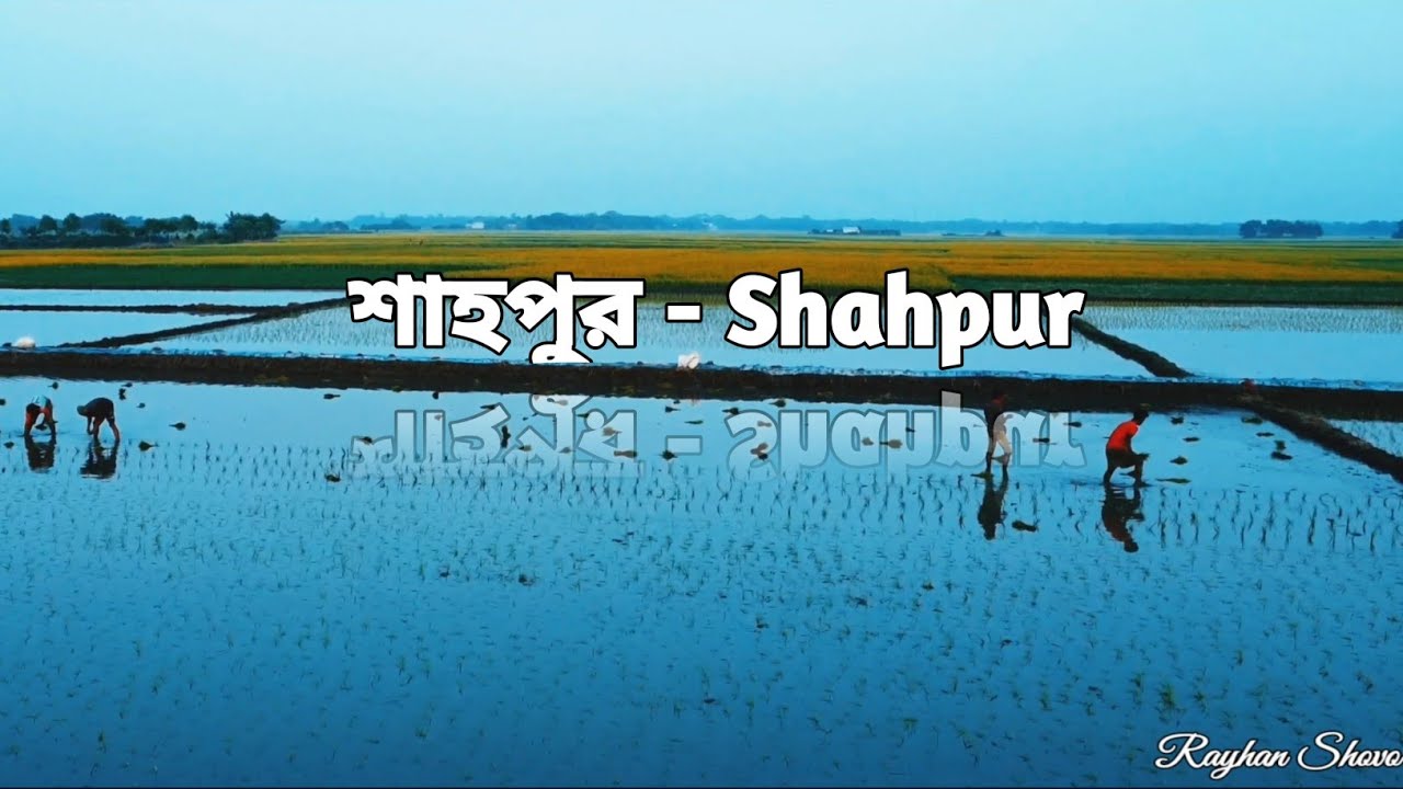 শাহপুর, নবীনগর, ব্রাহ্মণবাড়িয়া || Shahpur, Nabinagor, Brahmanbaria