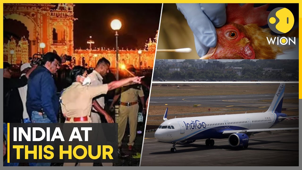 India: Inquiry Committee Submits Report on Indigo | Mysuru Helium Blast: Death Toll Rises to 3 |WION