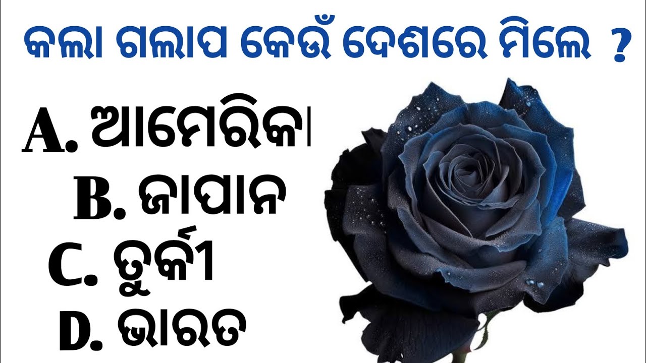Odia Gk Questions || Gk in Odia Question and answers || World Gk || Intresting Gk 2026