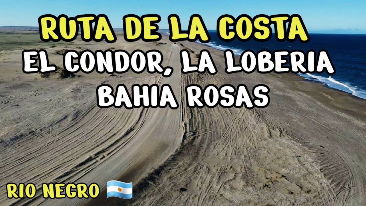 RUTA 1 DE LA COSTA, El Condor, La Loberia, Bahía Rosas y BAHIA CREEK (segunda parte) PARAISO TOTAL 💚