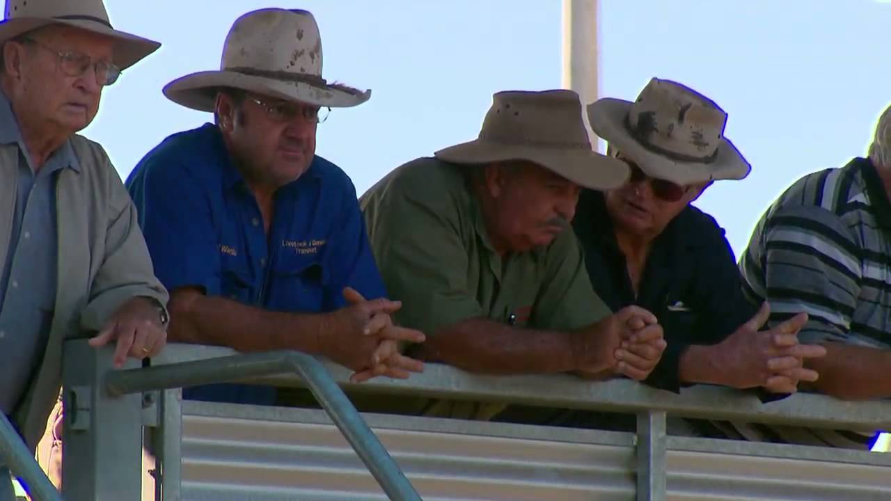 What's Up Downunder S05 Ep 14 - Gracemere Sale Yards Rockhampton